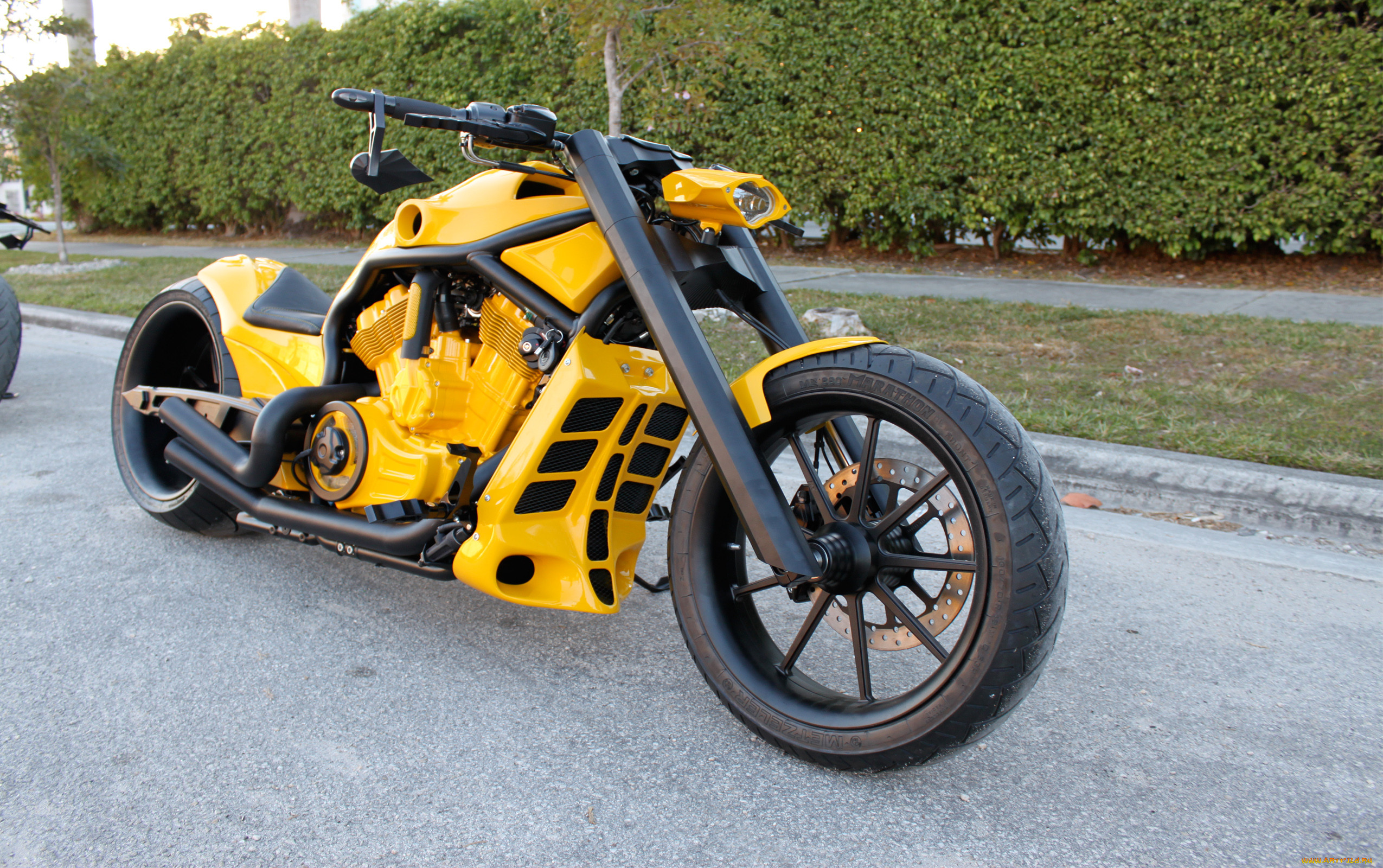 , customs, custom
